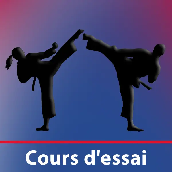 Cours d'essai de Taekwon-Do ITF