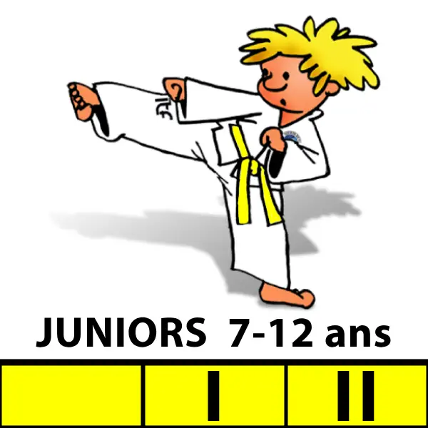 Cours Taekwon-Do Juniors — Ceintures jaunes