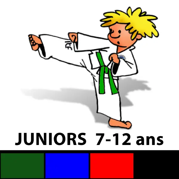 Cours Taekwon-Do Juniors — Ceintures Vertes et plus