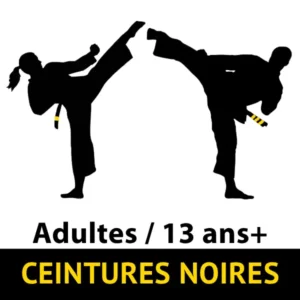 Cours Taekwon-Do Adultes / 13 ans et plus — Ceintures noires