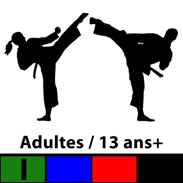 Cours Taekwon-Do Adultes / 13 ans et plus — Ceintures Vertes I et plus