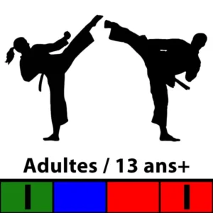 Cours Taekwon-Do Adultes / 13 ans et plus — Ceintures Vertes I à Rouges I