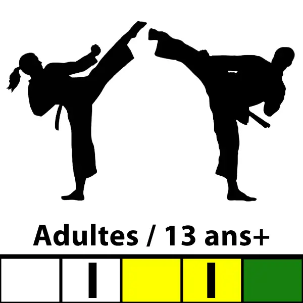 Cours Taekwon-Do Adultes / 13 ans et plus — Ceintures Blanches à Vertes